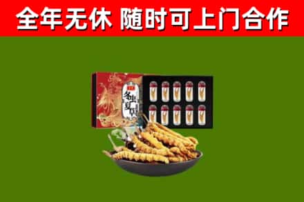涪城区烟酒回收冬虫夏草礼盒.jpg
