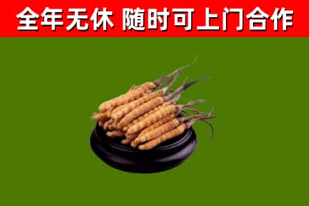 涪城区烟酒回收冬虫夏草.jpg
