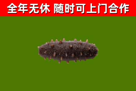 涪城区烟酒回收干海参.jpg